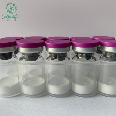 Fibroblast Growth Factor-10 FGF-10 KGF