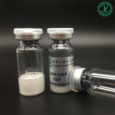 sh-Polypeptide-1 rh-Polypeptide-1 bFGF FGF-2