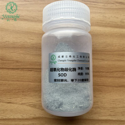 Superoxide dismutase SOD sh-polypeptide-60 rh-polypeptide-60